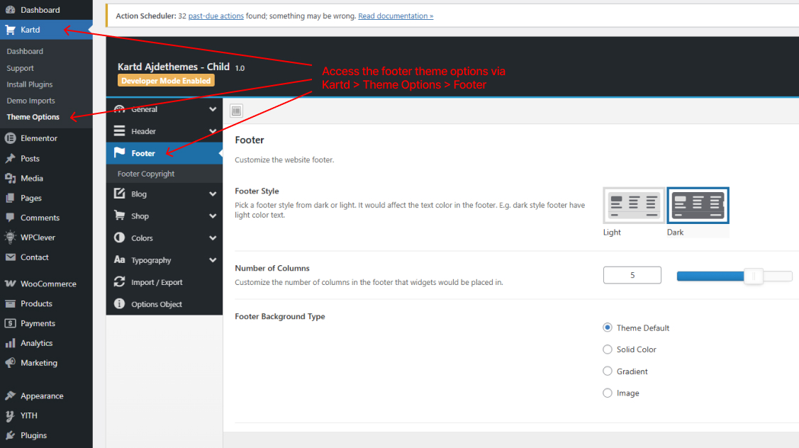 Footer theme options location.